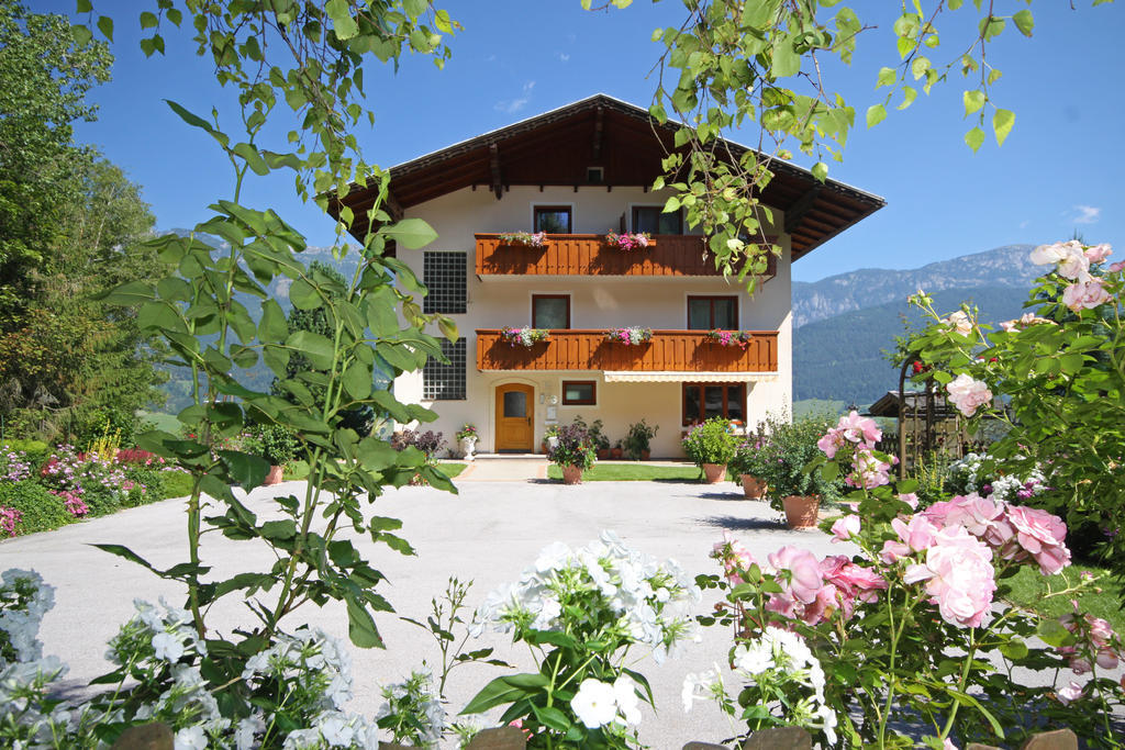 Hotel Rosspointnerhof Haus im Ennstal Esterno foto